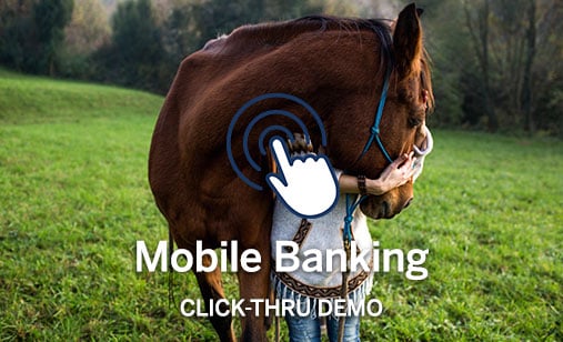 Open the mobile banking click-through demo