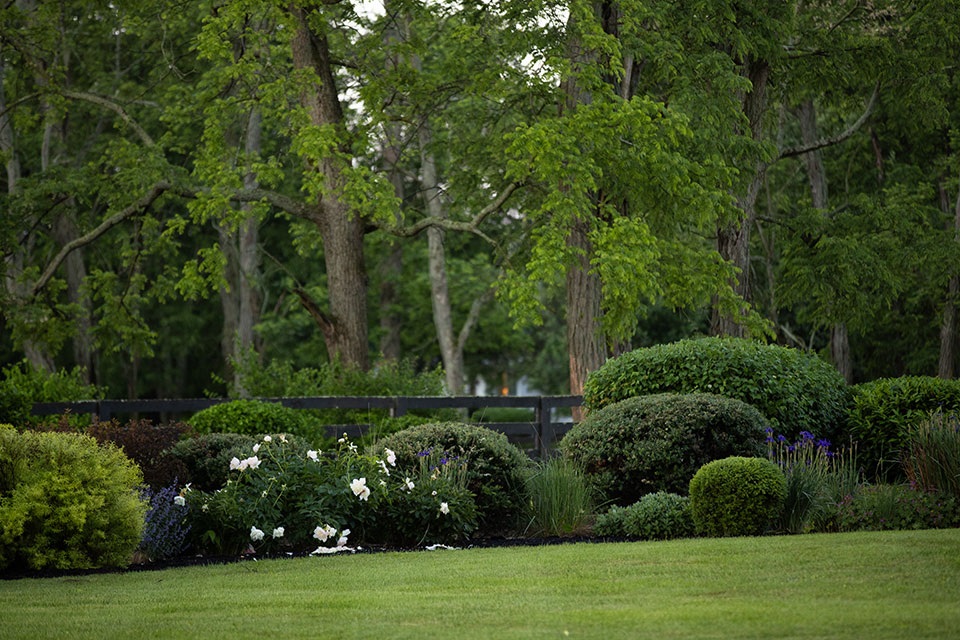 Landscaping along a fence row with green trees in the background