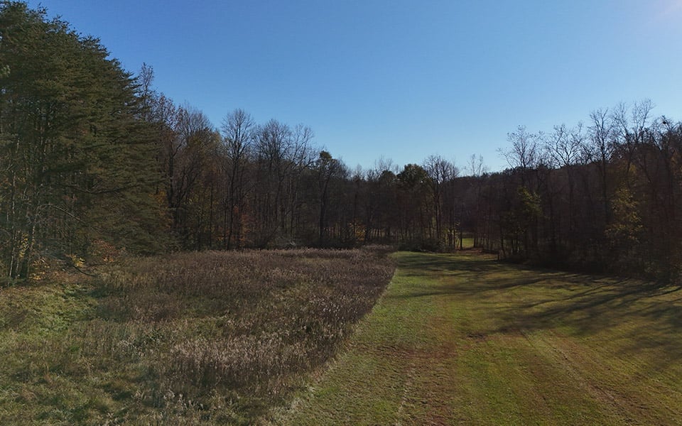 Grassy area on a plot of rural land with trees surrounding.