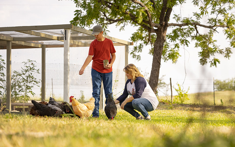 A mother and son feeding chickens in the yard of their rural home.
